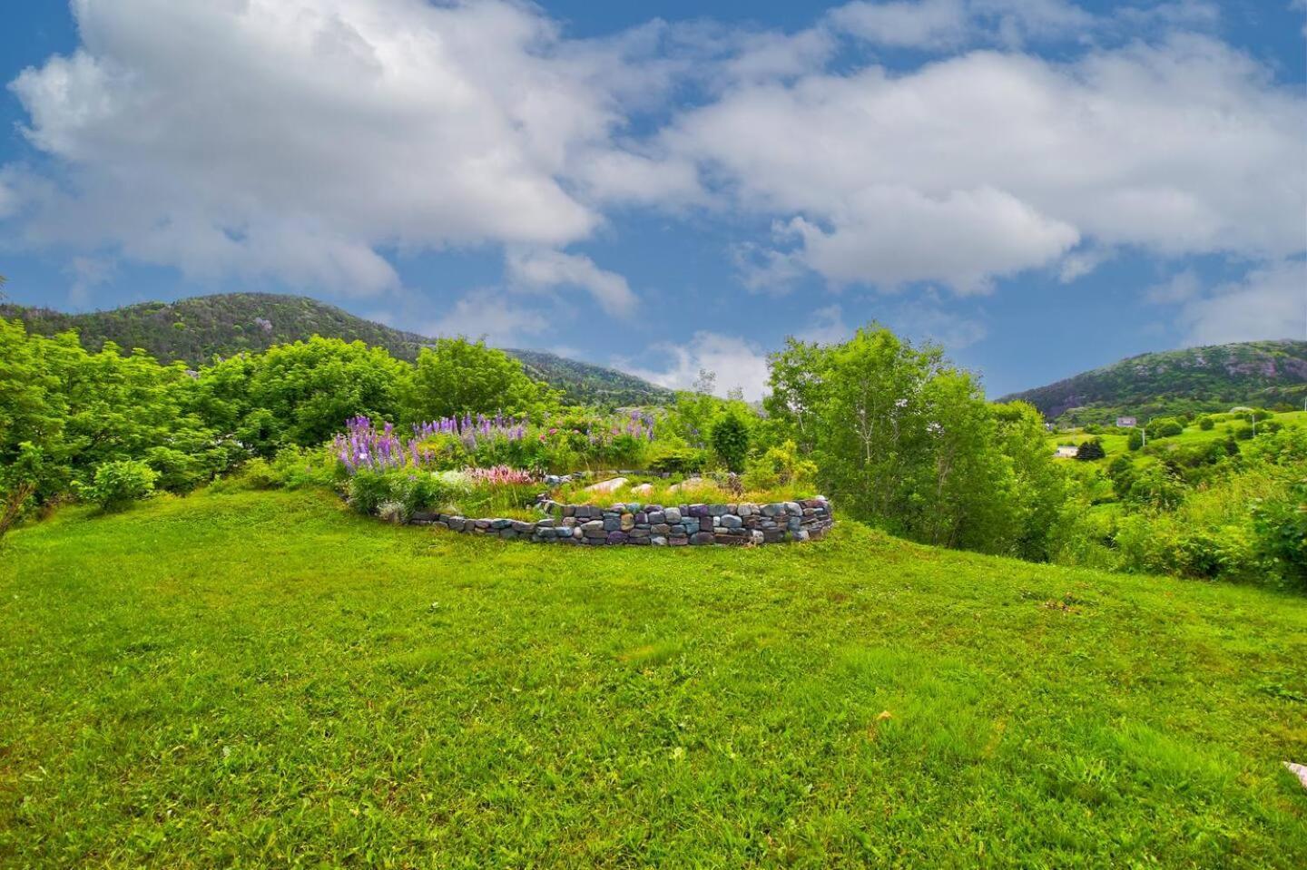 The Vista At Quidi Vidi - Stunning Views & Trails Villa St. John's Dış mekan fotoğraf